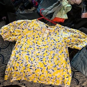 Ann Taylor Shirt